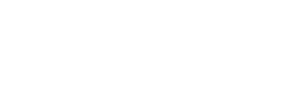 Hidden Layer