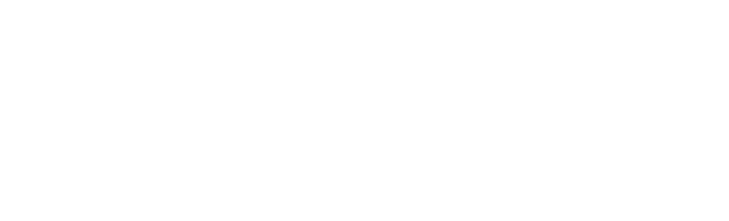 Hidden Layer